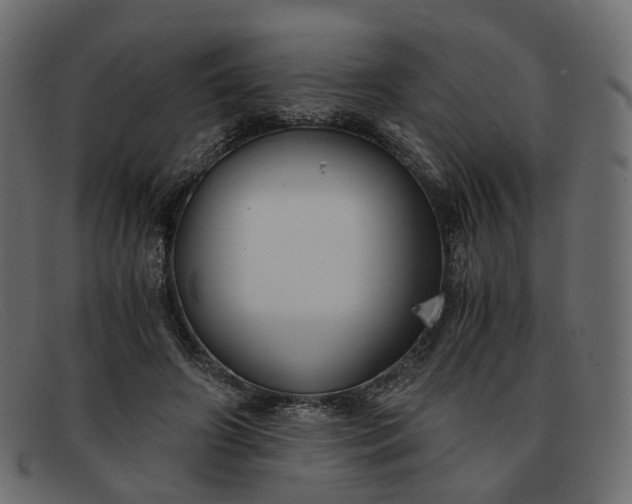 X0000091880498200709191159