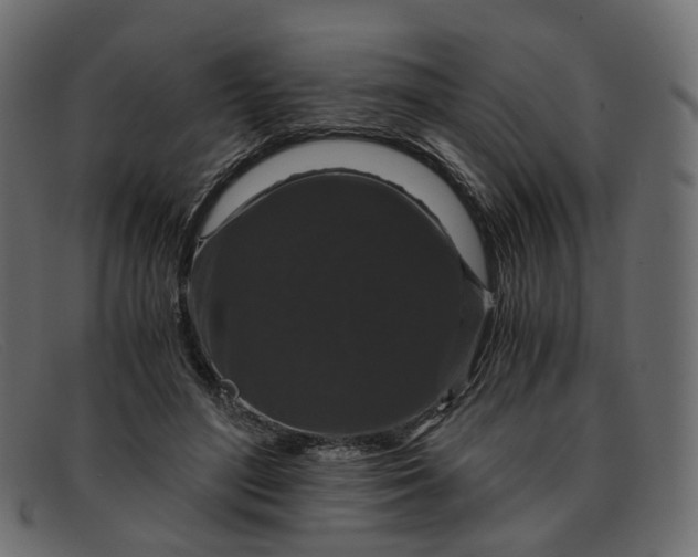 X0000091880500200709191159