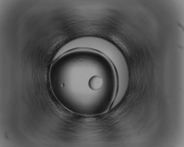 X0000091880501200709191159