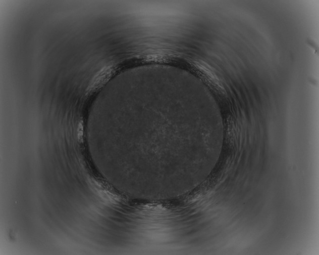 X0000091880502200709191159