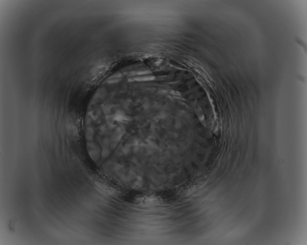 X0000091880503200709191159