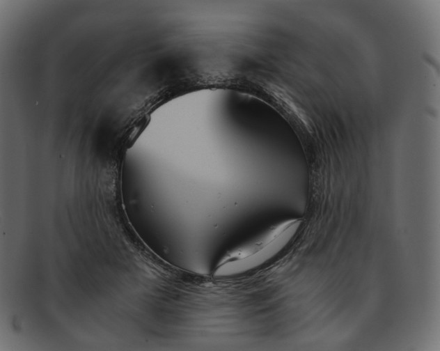 X0000091880505200709191159