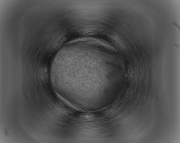 X0000091880506200709191159