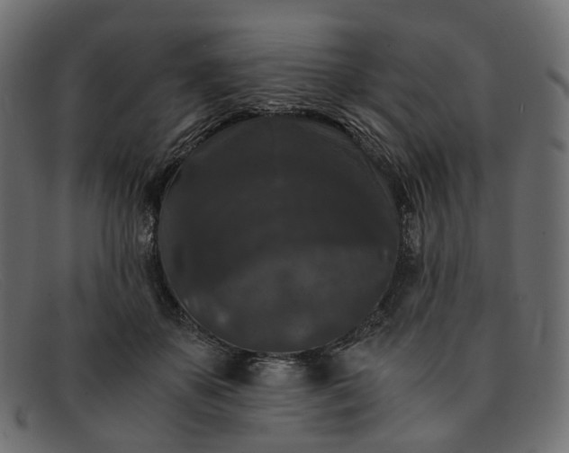 X0000091880507200709191159