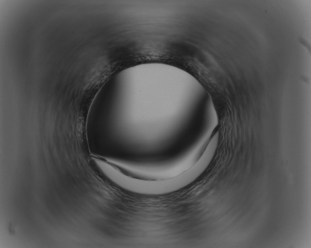 X0000091880509200709191159