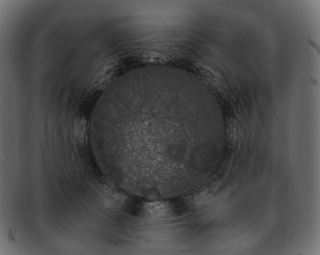 X0000091880511200709191159