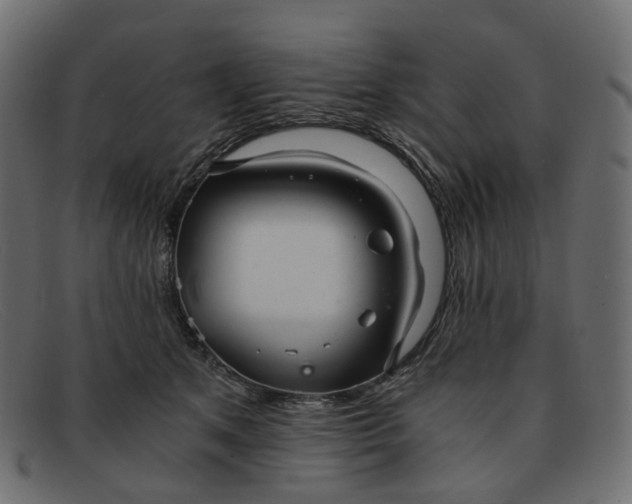 X0000091880513200709191159