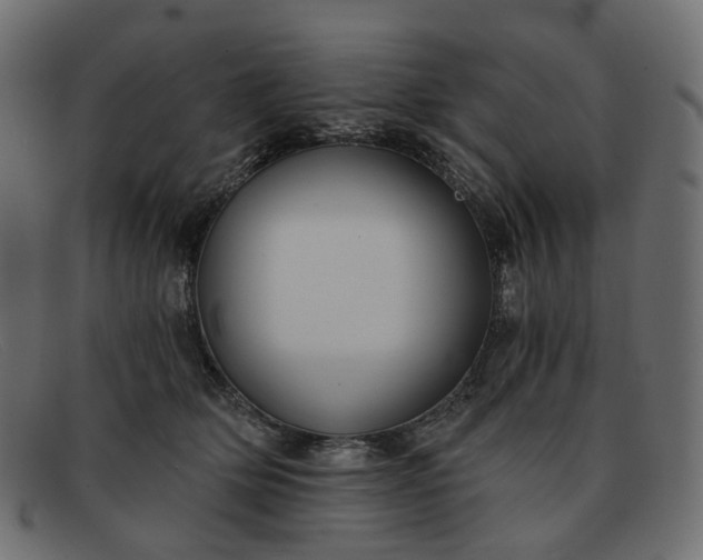 X0000091880514200709191159