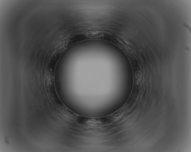 X0000091880515200709191159