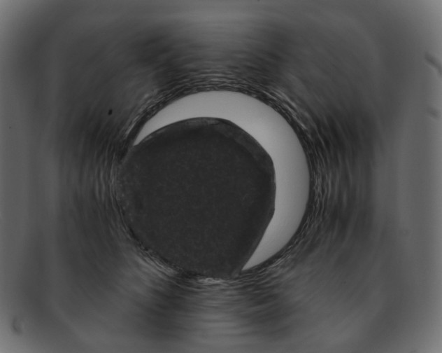 X0000091880516200709191159