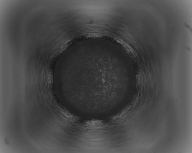 X0000091880517200709191159