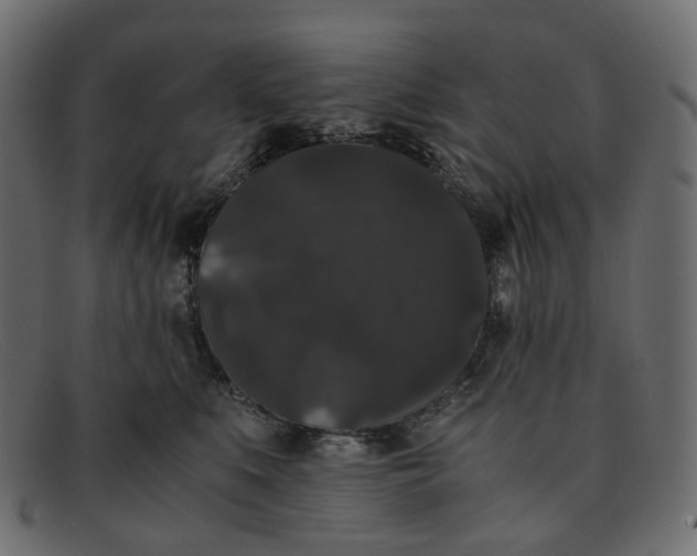 X0000091880519200709191159