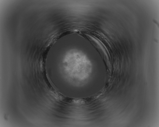 X0000091880520200709191159