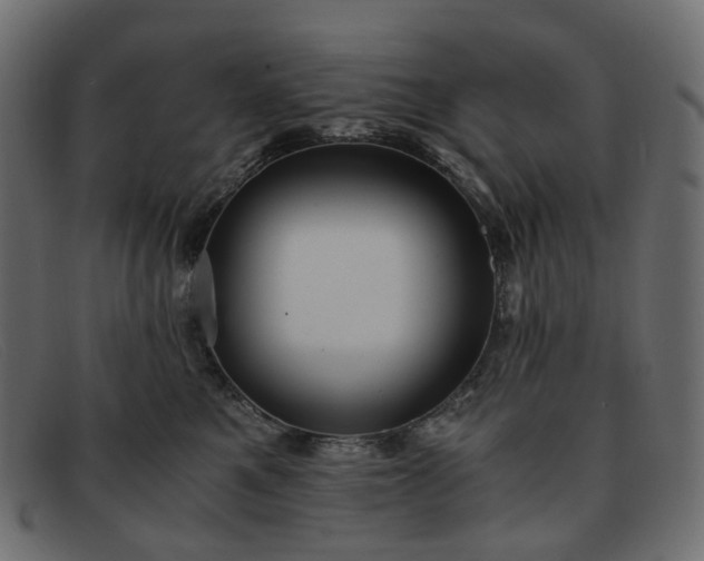 X0000091880521200709191159