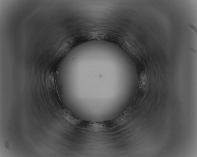 X0000091880522200709191159