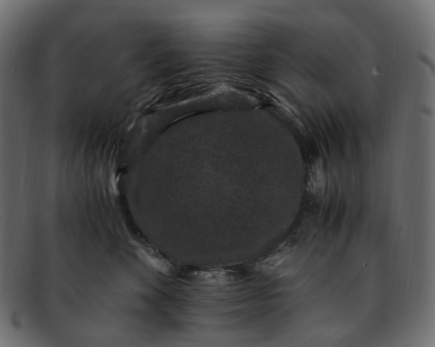 X0000091880524200709191159