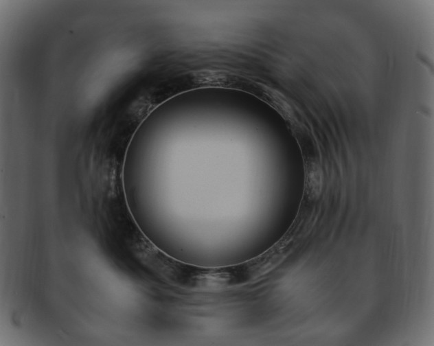 X0000091880525200709191159