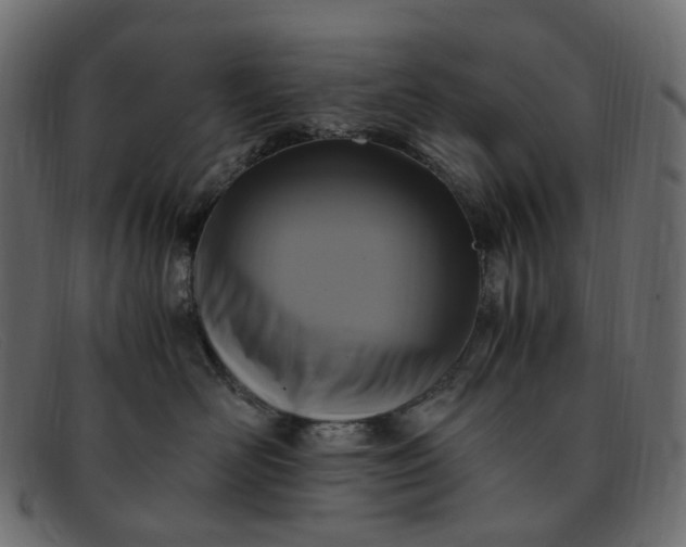 X0000091880526200709191159