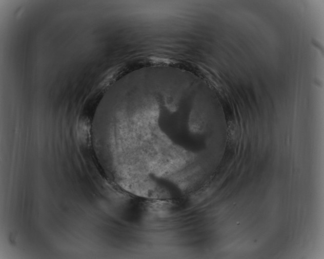 X0000091880527200709191159