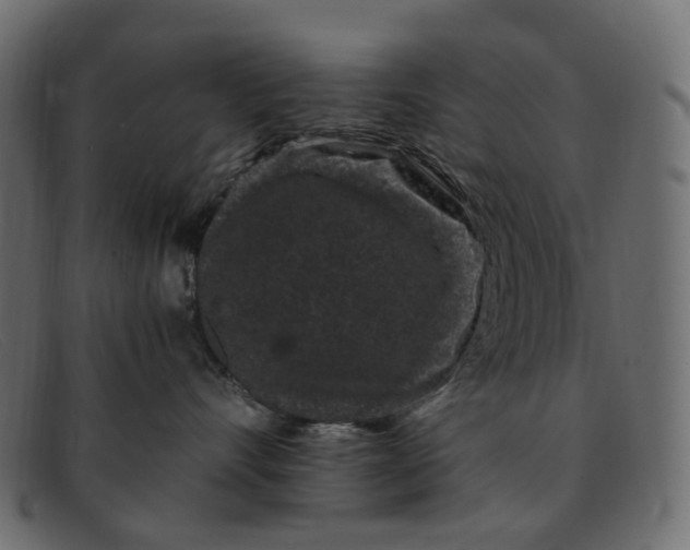 X0000091880528200709191159