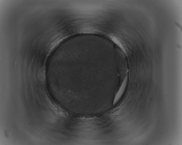 X0000091880531200709191158