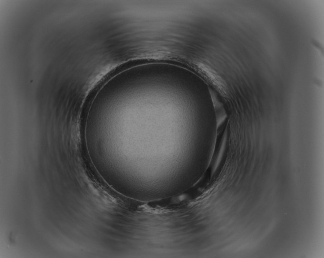 X0000091880532200709191158