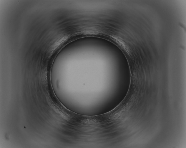 X0000091880535200709191158