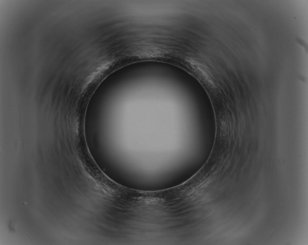 X0000091880539200709191158