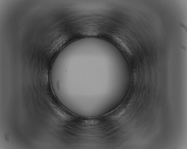 X0000091880541200709191158