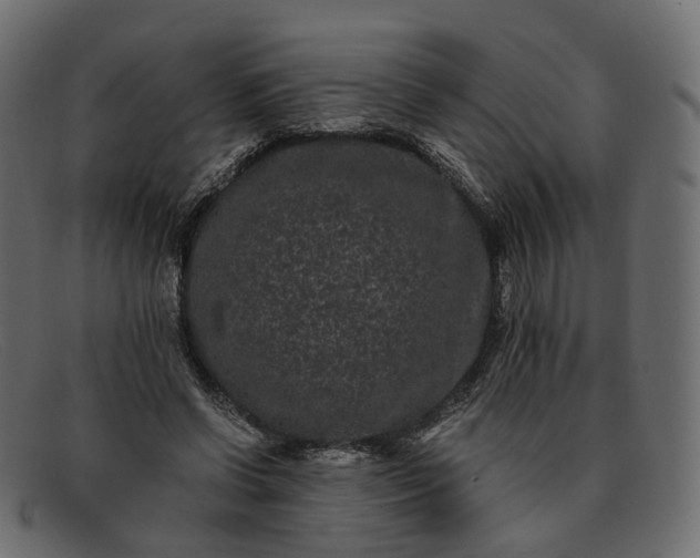 X0000091880542200709191158