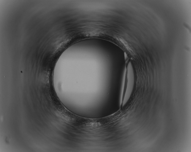 X0000091880543200709191158