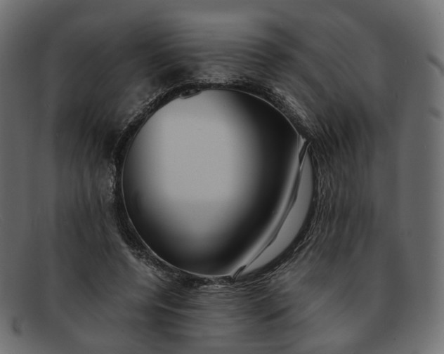 X0000091880544200709191158