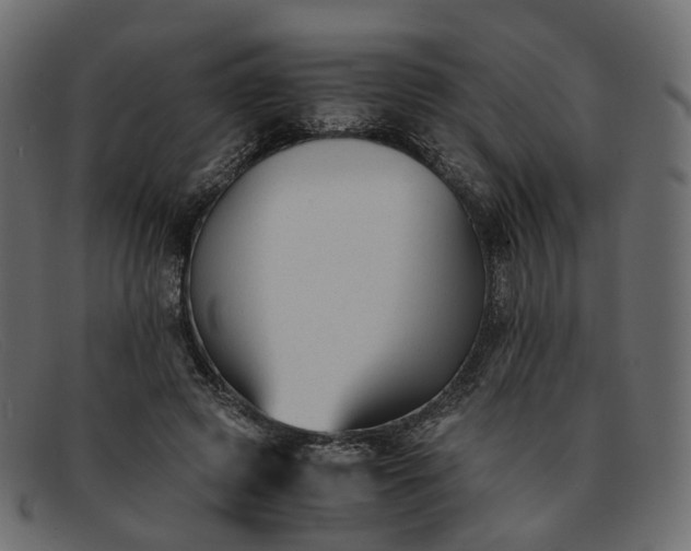 X0000091880545200709191158