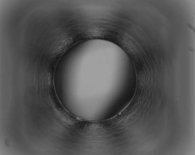 X0000091880546200709191158