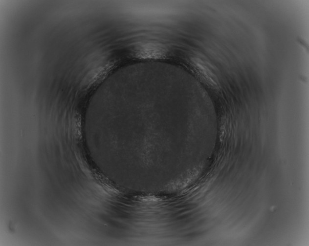 X0000091880547200709191158