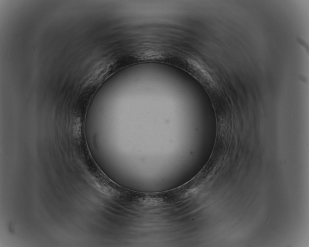 X0000091880549200709191158