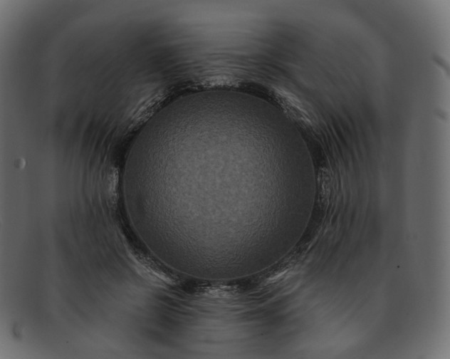 X0000091880550200709191158