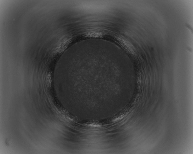 X0000091880551200709191158