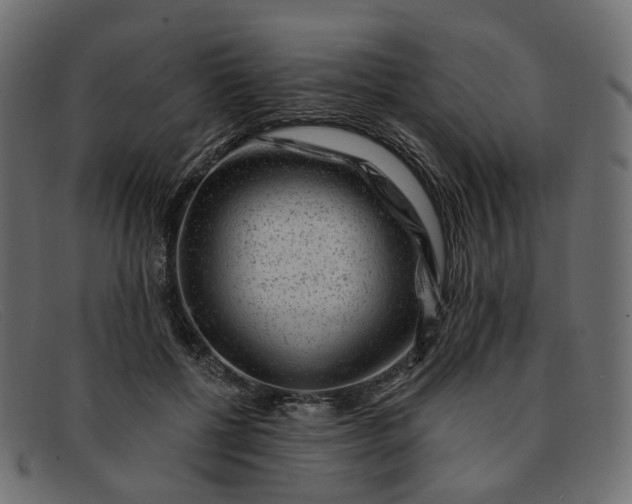 X0000091880552200709191158