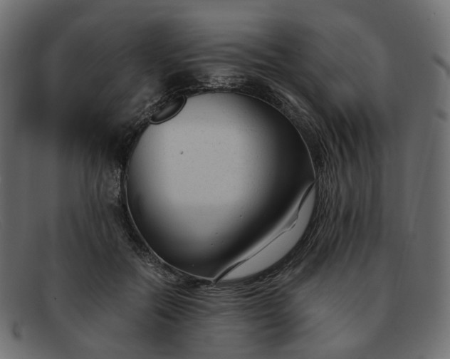 X0000091880554200709191158