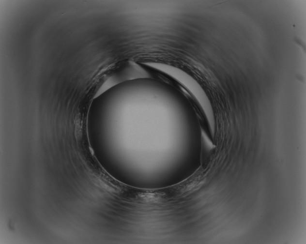 X0000091880558200709191159