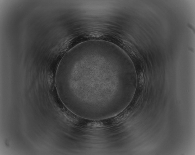 X0000091880559200709191159