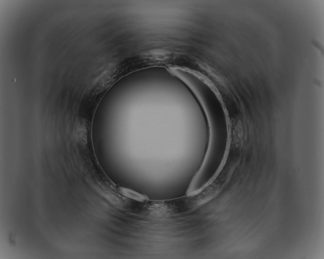 X0000091880562200709191159