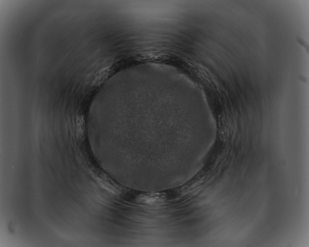 X0000091880563200709191159