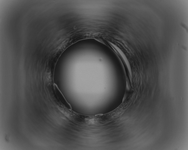 X0000091880564200709191159