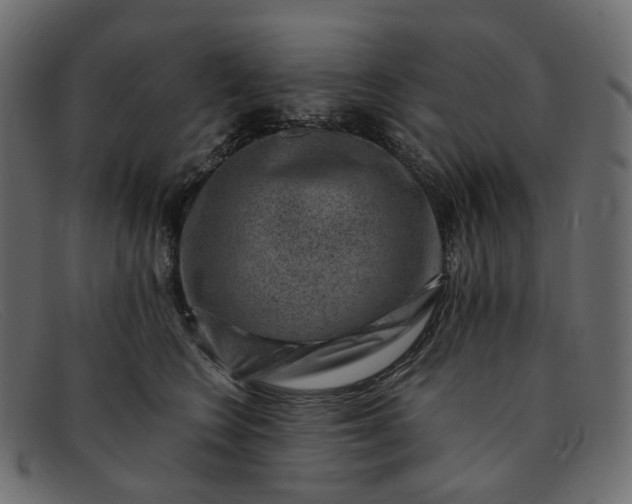 X0000091880566200709191159