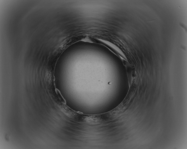 X0000091880568200709191159