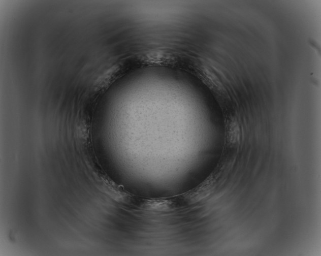 X0000091880569200709191159