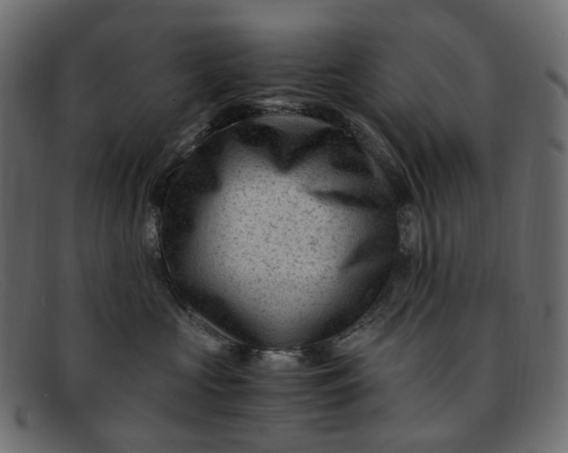 X0000091880573200709191159