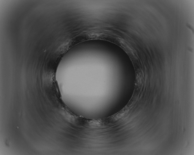 X0000091880574200709191159